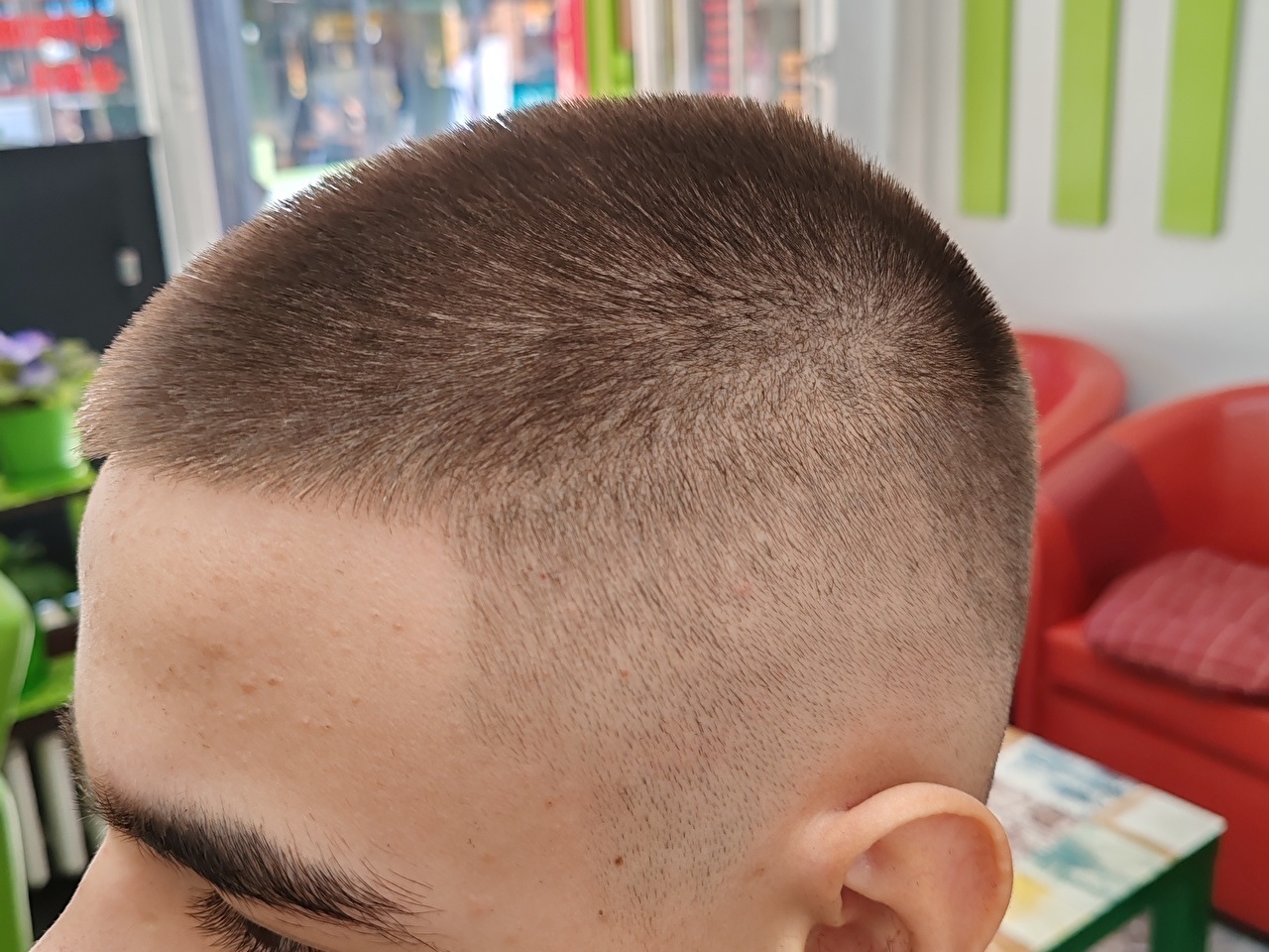 Muski frizer olja m 